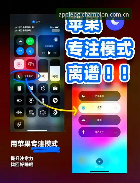 pg问鼎苹果官网使用技巧深度分析：从界面优化到功能效率的全面解读